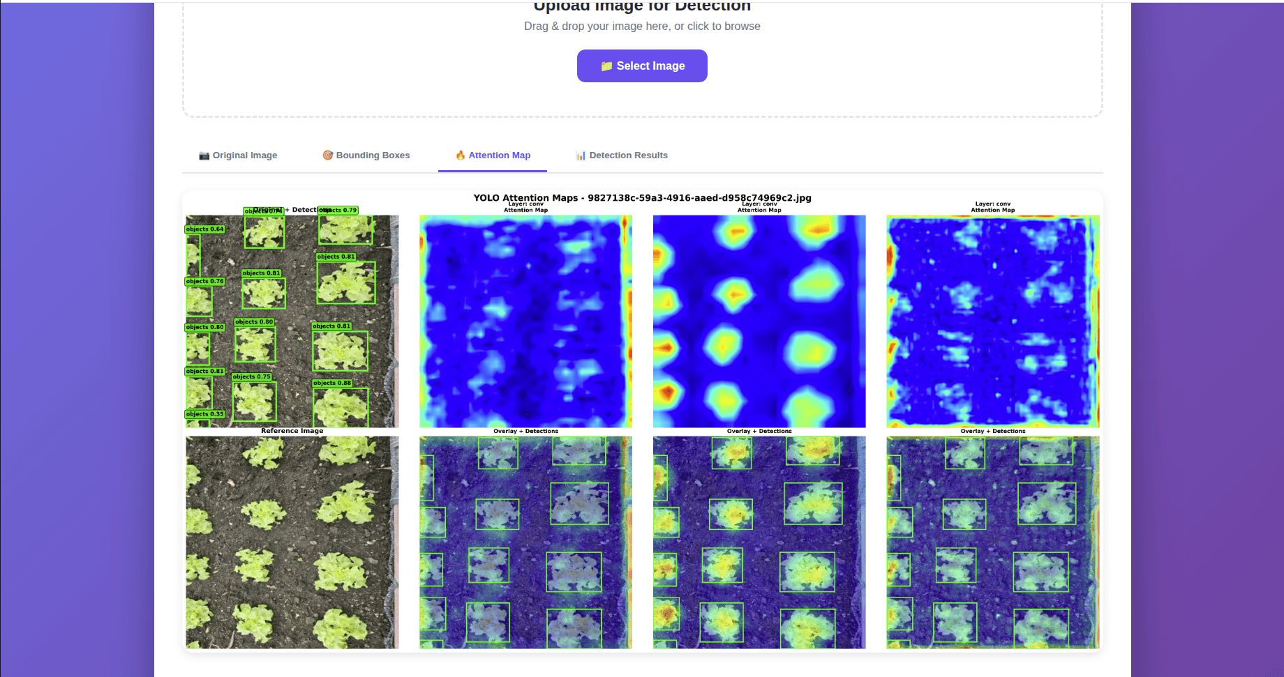 Coral Detection MLOps